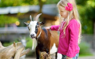 Ein Besuch in einem Tierpark in Worms, Rheinböllen oder Kaiserslautern ist empfehlenswert, anstatt ein Tierkostüm zu tragen. (Foto: AdobeStock - MNStudio 194182270)