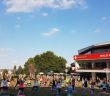 Kultur und Sport vereint: Der Bonner Opernrasen kehrt (Foto: Stadt Bonn)